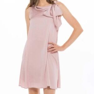 Robbie Bee Satin Blush Mini sz S